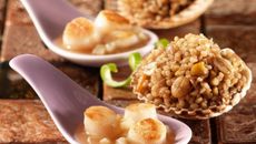 Noix de Saint Jacques et ses céréales gourmandes cacaotées