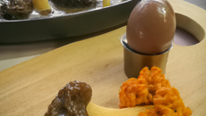 Cuisse de canette aux morilles