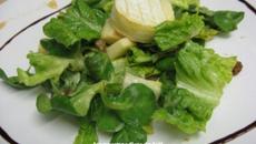 Salade du berger endormi dans un verger !