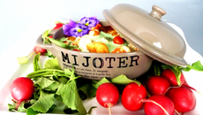 Cocotte de gnocchi de radis aux écrevisses et tomates groseilles sauce mousseuse à l'estragon