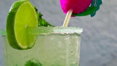 Mojito pour 12 personnes