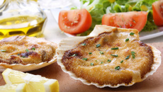 Coquilles Saint-Jacques gratinées