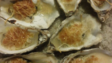Huîtres chaudes gratinées maison