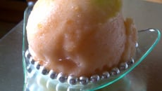 Sorbet au melon