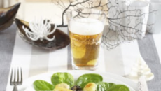 Ratte du Touquet entre terre et mer d'Opale