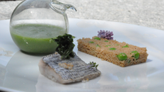 Epeautre bio en taboulé aux petits pois et dorade en vapeur d'algues