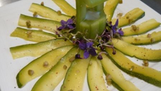 Carpaccio de courgettes et puits de tzatziki