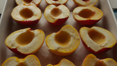 Pintade aux pêches blanches