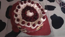 Framboisier et son décor aux framboises fraîches