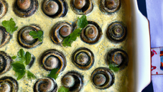 Cromesquis d'escargots aux herbes et crème parmentière
