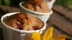 Muffins aux framboises du jardin, parfum de pandan