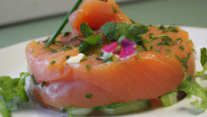 Marinade et tartare de saumon