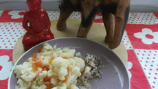 Choux-fleur à la marocaine