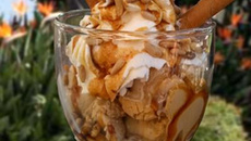 Glace au miel et ses amarettis