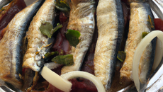 Petite sardine amidonnée