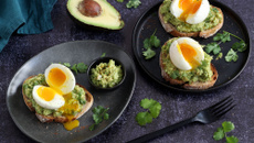 Tartines au guacamole et œuf mollet
