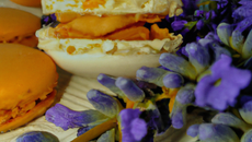 Macaron Provence : amandes, abricots, lavande