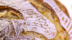 Pain de seigle au Companion