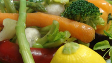 Composition végétale de légumes biologiques d'hier et d'aujourd'hui