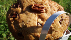 Cookies aux noix de pécan et aux pépites trois chocolats