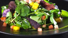 Salade de cresson estivale