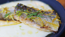 Filet de bar aux agrumes