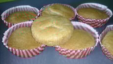 Madeleines sans œufs