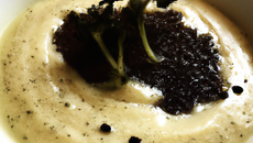 Crème de poireau au jus de truffe