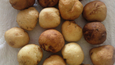 Boulettes de poissons