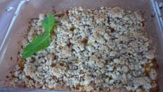 Crumble poires abricots