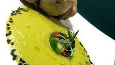 Paupiettes de poulet au fromage frais, champignons et lardons et son espuma de légumes