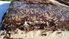 Gâteau aux 2 chocolats, à la fève tonka et au Bailey's