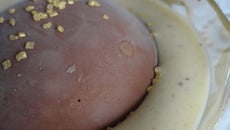 Mocsovite, ou le dessert glacé trop facile