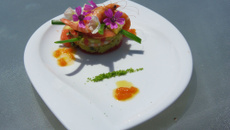 Fraicheur de crevettes roses