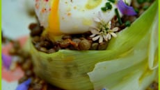 Salade de lentilles vertes du Puy traditionnelle