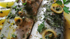 Maquereaux au vin blanc et à la coriande