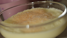 Crème de Champerloises