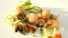 Méli-mélo iodé et gelée de coquillages