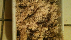 Crumble pommes et chocolat maison