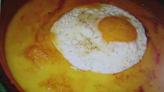 Véritable Welsh du Nord