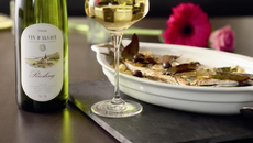 Daurade au riesling