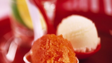 Sorbet à la Tomate de France