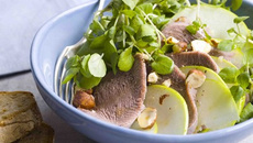 Salade de langue de bœuf tiède, cresson, pommes vertes et noisettes