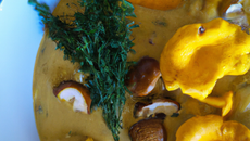 Soupe de chanterelles