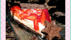 Tarte pannacotta rhubarbe aux fraises avec pâte au cacao