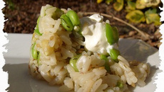 Risotto Feves, pignons, sésame