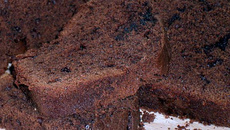 Délicieux fondant au chocolat