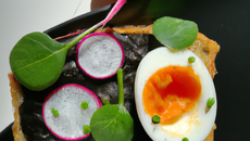 Tartinade d'œufs aux radis noirs