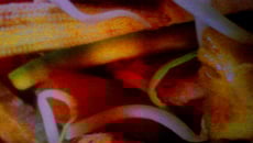 Poulet sauté aux légumes