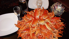 Ecrevisses à la nage